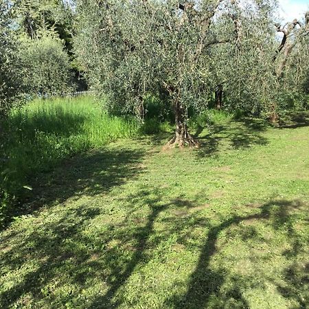 Bio Forester Villa Manerba del Garda Kültér fotó