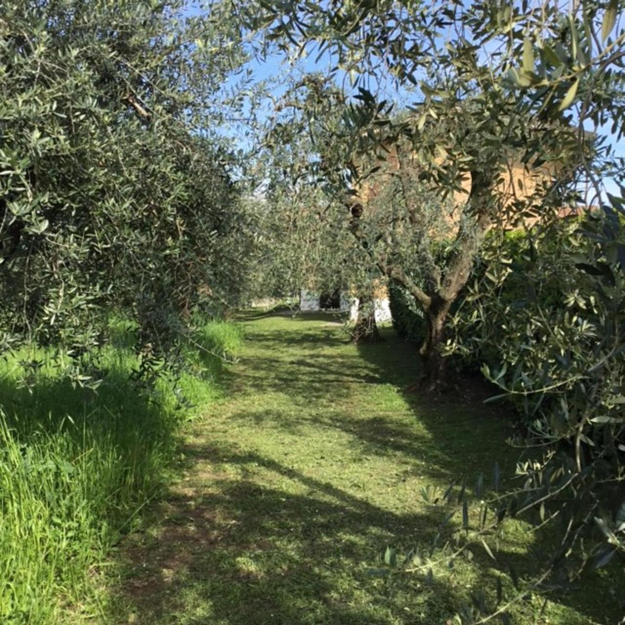 Bio Forester Villa Manerba del Garda Kültér fotó